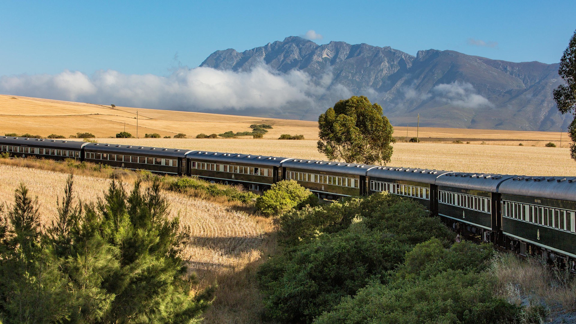 Luxury train journey through South Africa