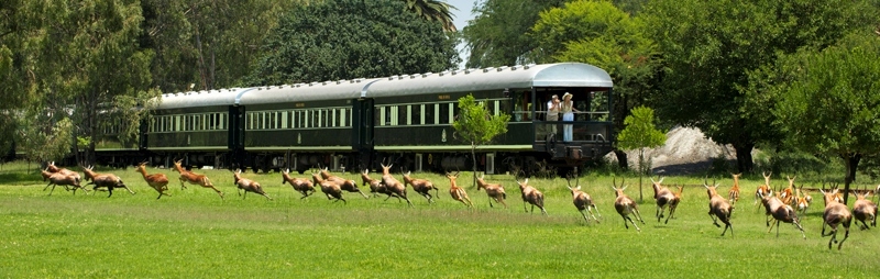 Countries Luxury Trains South Africa Rovos