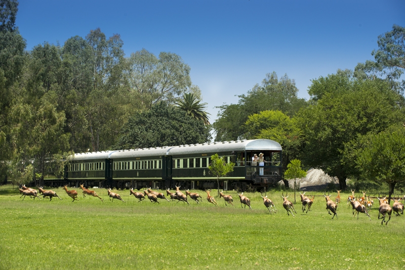 Luxury Train News April 2023 Rovos Pride of Africa & Shongololo Express, South Africa 2023 Luxury Train Club