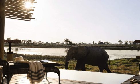 Belmond Safari Elephant Pano2