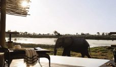 Belmond Safari Elephant Pano2